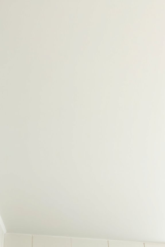 What Paint Should You Use on a Bathroom Ceiling? 5 separate primer topcoat bests combo