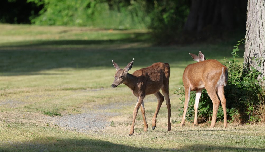 three best deer friendly foods